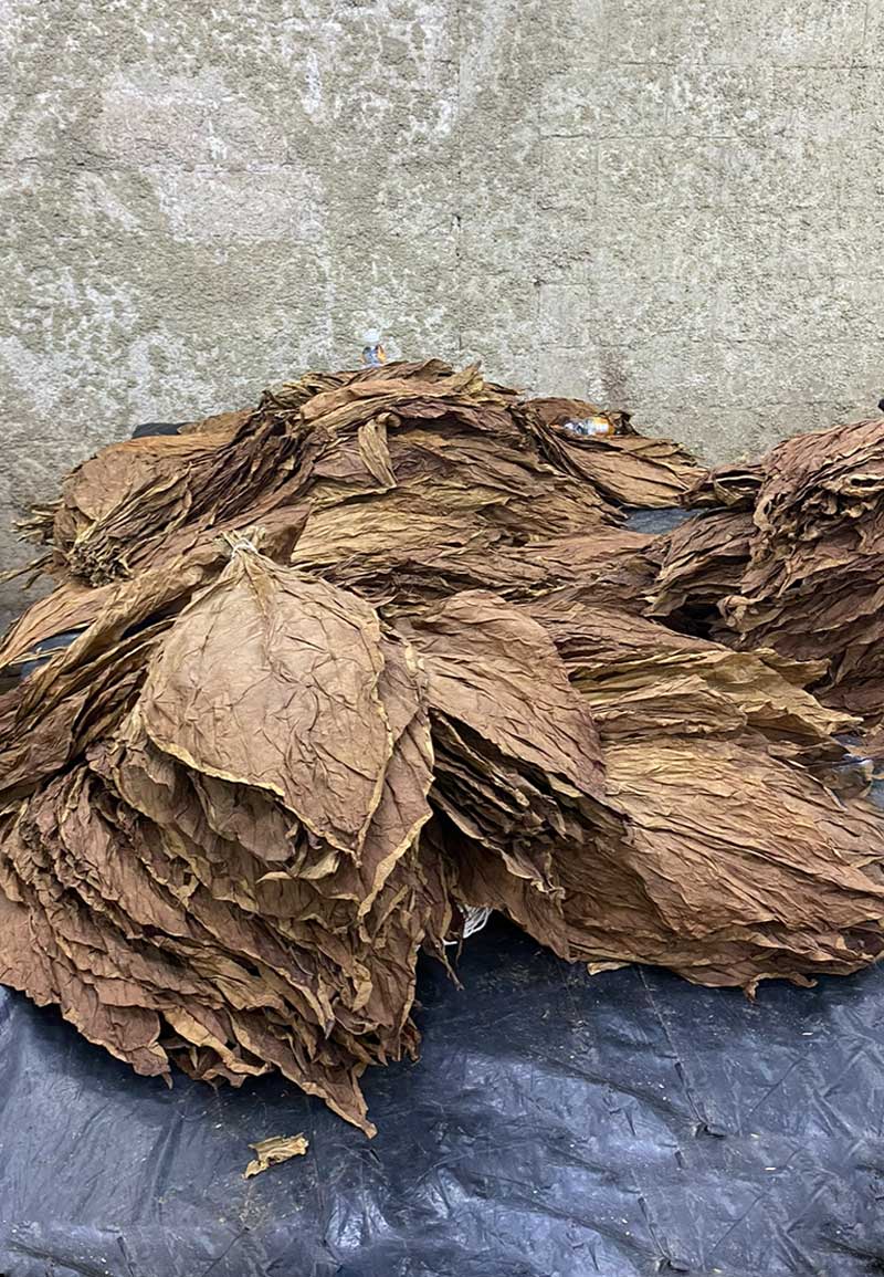 photo of cigar leaves